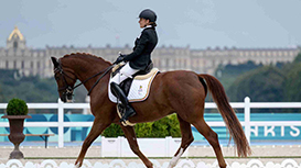 Para equestrian